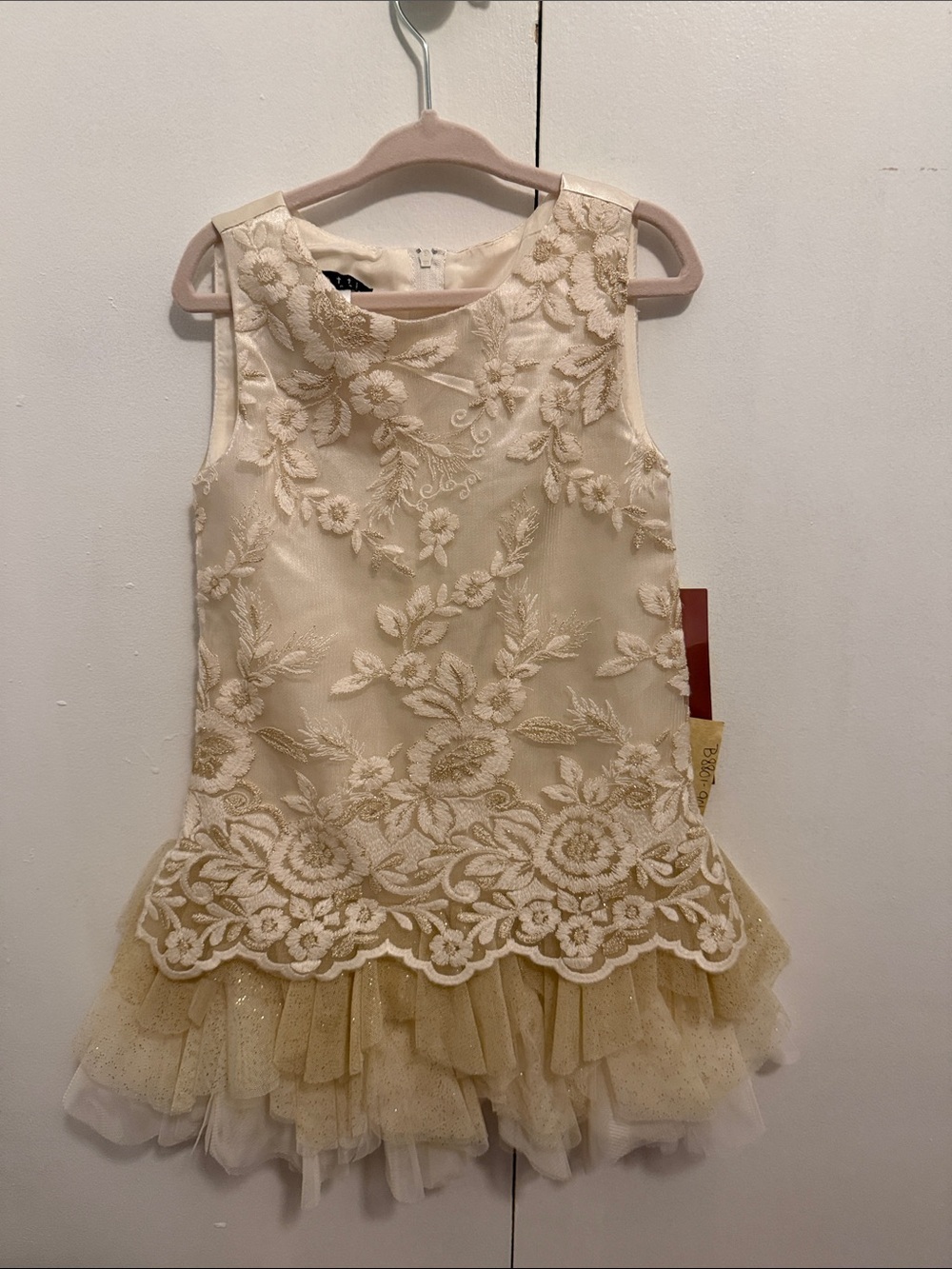 Girls Biscotti dress